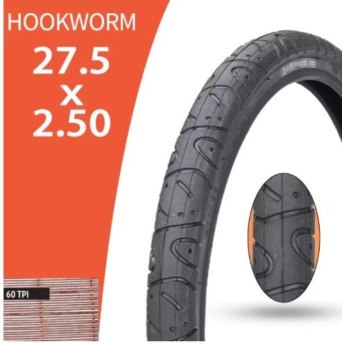 Hookworms